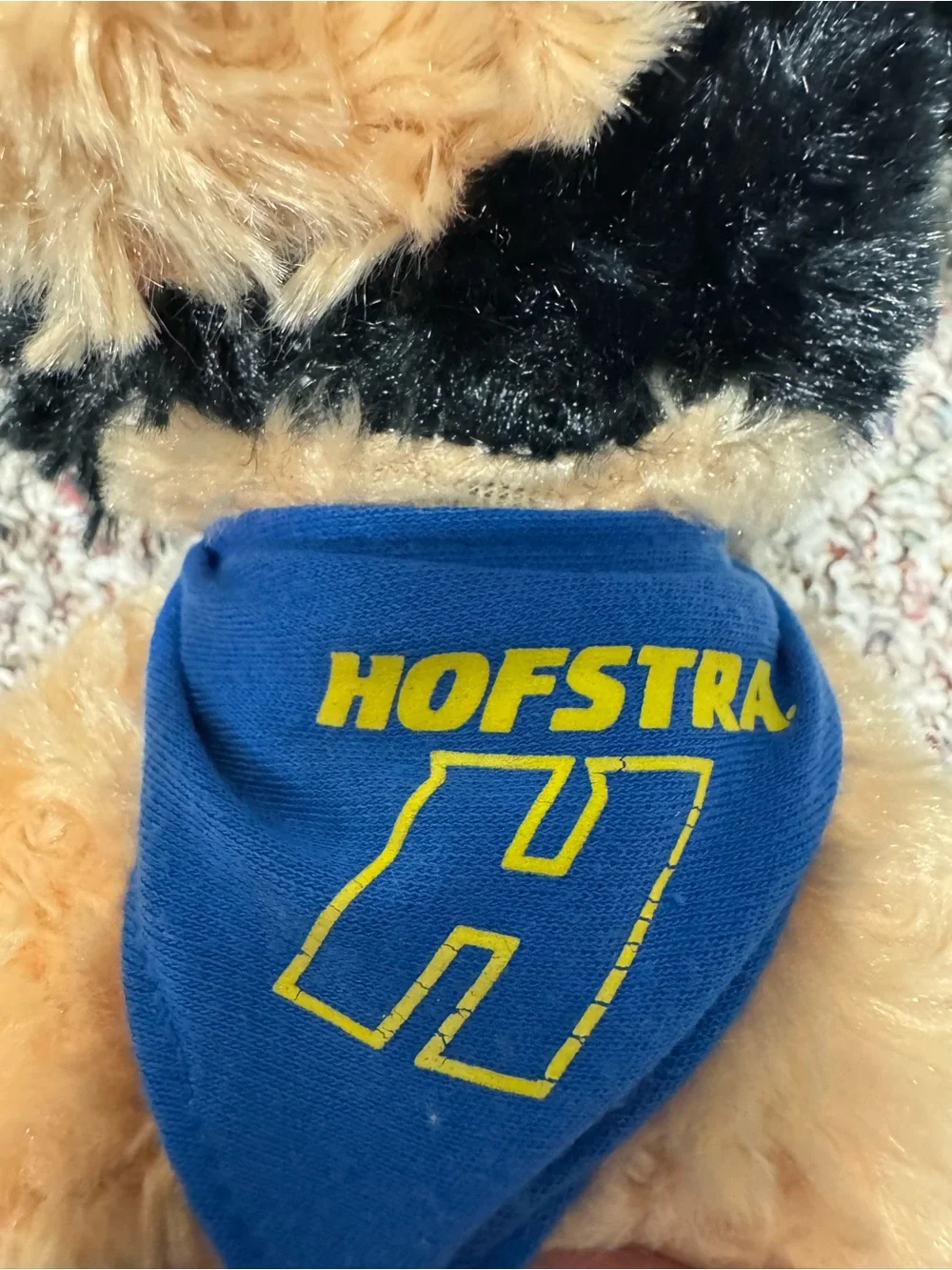 Hofstra Plush stuffed animal with Blue Bandana